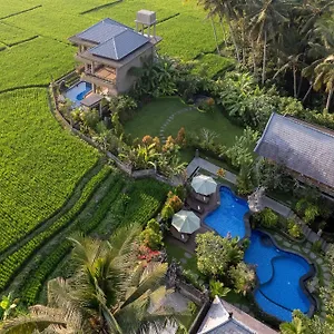 4* Hotell Gynandha